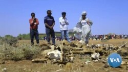 Gareen Yunivarzitii Amboo Gargaarsa Walitti-qabuun Uummata Booranatti Hongeen Rakkataa Jiruuf Gumaache