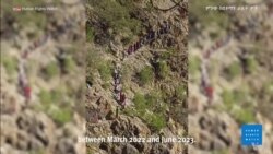 ኢትዮጵያዊያን ፍልሰተኞች “በሳዑዲ አረቢያ ተገደሉ”