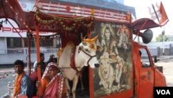 FILE - A Hindu religious group campaigns against cow slaughter in Kolkata, ahead of the Muslim festival of Eid-ul-Adha festival in 2021. During the annual Eid-ul-Adha festival hundreds of thousands of cows are sacrificed in India. (Shaikh Azizur Rahman/VOA)