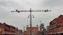 معبد قدیمی در هند با معماری و نقاشی‌های بی‌نظیر
