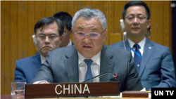 푸총 유엔주재 중국대사