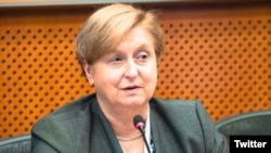 آنا فوتیگا، نماینده پارلمان اروپا