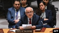 ریاض منصور، نمایندهٔ فلسطین در ملل متحد