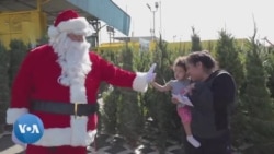 Californie : un sapin gratuit contre du recyclage