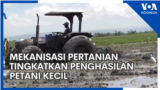 Mekanisasi Pertanian Tingkatkan Penghasilan Petani Kecil -