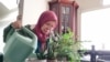 Desiyani Nurbaiti untuk akhir tahun kedua menjadi house-sitter. Kali ini diminta mengurus tanaman. (Foto: Dokumen pribadi)