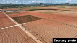 Mashamba ya pamoja huko Chinangali Dodoma, Tanzania.