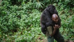 SML: Washington epesi etumbu na bakonzi ba kala ba ICCN mpo na kaniaka ya Chine