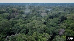 FILE - This aerial view shows trees in the Yangambi forest, 100 km from the city of Kisangani, in the province of Tshopo, northeast of the Democratic Republic of Congo, Sept. 2, 2022. 