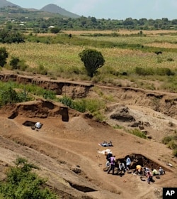 This photo shows excavation at the Nyayanga site in southwestern Kenya in July 2016. (J.S. Oliver/Homa Peninsula Paleoanthropology Project via AP)