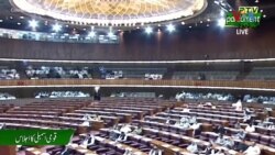 د پاکستان د پارلمان د آیني وخت له پوره کیدو وروسته څیړونکي وایي، دې پارلیمان هم د تمې خلاف د پښتنو ستونزې هوارې نه کړې