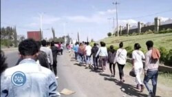 ሰላማዊ ሰልፊ ተመሃሮ ዩኒቨርስቲ መቐለ ብኣባላት ጸጥታ ተበቲኑ፡ 10 ምእሳሮም ተመሃሮ ይሕብሩ