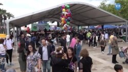 Urla Uluslararası Enginar Festivali 10'uncu kez kapılarını açtı