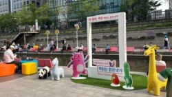 [헬로 서울] 도서관을 밖으로 끌고 나온 '와! 좋다. '서울야외도서관'