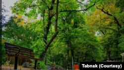 پارک قیطریه تهران