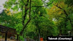 پارک قیطریه تهران