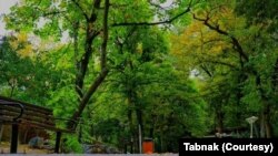 پارک قیطریه تهران