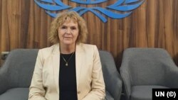 Meri Loulor, BMT-nin Hüquq müdafiəçilərinin vəziyyəti üzrə xüsusi məruzəçisi 