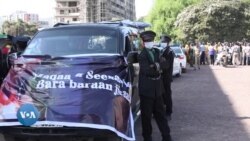 Halloo Daawwee Akkamitti Yaadatamti?