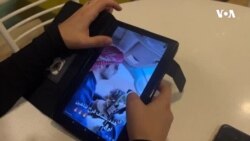 Ekofəallar: Azərbaycanda Qırmızı kitab quşları ovlanır