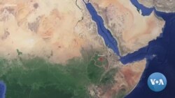 የመከላከያ እና የፋኖ ትጥቃዊ ግጭት በግብርናው ላይ ተጽእኖ እንዳስከተለ ተገለጸ