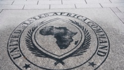 የአፍሪካ መከላከያ ባለሥልጣናት በቦትስዋና ሊመክሩ ነው