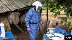 Mkuu wa timu ya ikolojia James Koninga akiwa katika hospitali ya serikali ya Kenema June 12, 2024. Picha na JOHN WESSELS / AFP. 