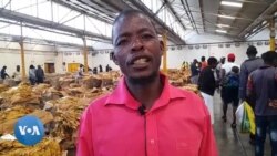 Vamwe Varimi veFodya Vokurudzira Hurumende Kuti Iwongorore Mari Dziri Kutengwa Nadzo Chirimwa Ichi Sezvo Dziri Pasi Zvakanyanya