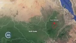 በኪረሙ ወረዳ ጥቃት ሰባት ሰዎች መገደላቸው ተገለጸ