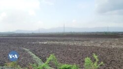 የእርሻ መሬት ለሥራ ዐጥ ወጣቶች እንዲሰጥ የሚጠይቅ ሰልፍ በራያ አዘቦ ተካሔደ