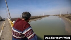 Kür çayı, Neftçala rayonu