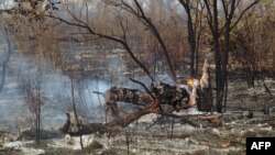 A file photo taken on Nov. 19, 2011 shows damage caused by a bushfire in a forest near Tsumkwe, some 600 kms northeast of Windhoek, Namibia. Tree burning and chopping has helped the desert expand, leaving Namibia even more exposed to the threats of global warming