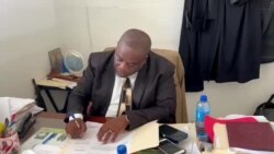 12 Moun Anba Kòd nan Kad Dosye Ti Kanno ki Disparèt nan Sitadèl la 