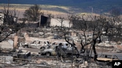 미국 하와이주 라하이나 카운티의 주택과 차량이 13일 산불에 타 뼈대만 남아 있다.