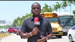 Reyaksyon Moun Miami sou Chwa Conille pou Premye Minis