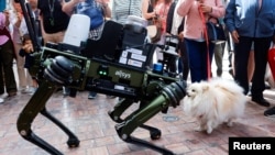 ลูซี สุนัขวัย 4 ขวบ ดมหุ่นยนต์สุนัขตำรวจ ที่ลงพื้นที่เพื่อช่วยเหลือเจ้าหน้าที่บังคับใช้กฎหมายจราจร เช่น การใช้สกูตเตอร์ไฟฟ้าในพื้นที่ห้ามใช้ ที่เมืองมาลากา ตอนใต้ของสเปน 19 มี.ค. 2024 (รอยเตอร์)