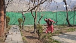 در کودکی به مواد مخدر معتاد شدم – جوان افغان