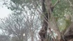 ວີດີໂອ ຄອບຄົວຂອງຍານາງສຸດທິດາ ຂຶ້ນພູສີ ໃນຫຼວງພະບາງ