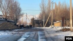 Toshkent viloyati, 22-yanvar, 2023 