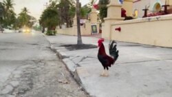 L'immigration, un enjeu majeur pour les Floridiens