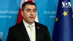 შალვა პაპუაშვილი - საქართველოს პარლამენტის თავმჯდომარე, ჯოზეფ ბორელის ვიზიტის თაობაზე საუბრობს