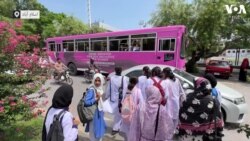 اسلام آباد کی پنک بسیں