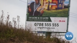 Real Estate Expansion Drives Kenyan Farmers to Abandon Coffee Cultivation