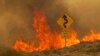 Wildfire Sweeping Through California Desert Threatens Iconic Joshua Trees