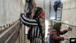 FILE - Gadis-gadis Afghanistan menenun karpet di pabrik karpet tradisional di Kabul, Afghanistan, Minggu, 5 Maret 2023. Setelah Taliban berkuasa di Afghanistan, banyak hak-hak dasar perempuan yang dirampas. (AP/Ebrahim Noroozi)