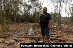 สุรศักดิ์ เอี่ยมสากล หนึ่งในผู้ได้รับผลกระทบมลพิษขยะจากโรงงานรีไซเคิล ที่ ต.คลองกิ่ว อ. บ้านบึง จ.ชลบุรี ยืนท่ามกลางต้นยูคาลิปตัสที่ยืนต้นตายภายในพื้นที่สวนของเขา เนื่องจากน้ำเสียปนเปื้อนสารอันตรายที่ไหลมาจากโรงงานรีไซเคิลขยะที่อยู่ติดกัน เมื่อวันที่ 1 กุมภาพันธ์ 2567