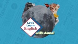 Apprenons l’anglais avec Anna, épisode 23: "Where do wild animals live?"