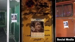 Röya Zakiri, "Təbrizin qızı"na dəstək plakatları