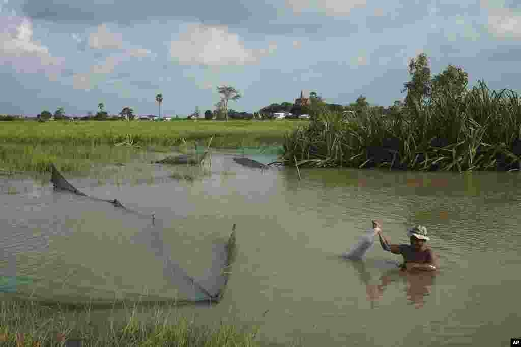 A man fishes in the flood water from recent rain at Tomnup Trent outside Phnom Penh Cambodia&nbsp;(AP Photo/Heng Sinith)