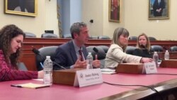 საერთაშორისო ექსპერტები "რუსული სტილის კანონებზე" მსჯელობენ 